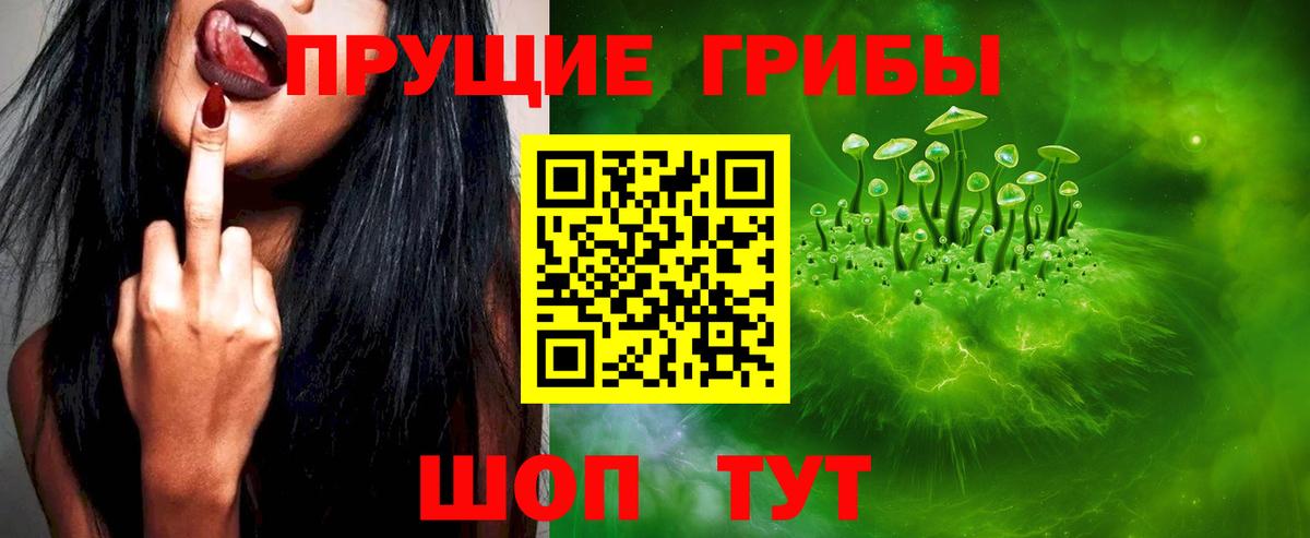 Псилоцибиновые грибы мухоморы Димитровград