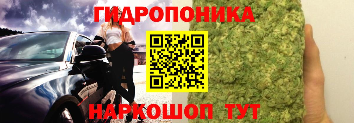 Бошки Шишки конопля  Каннабис ГИДРОПОН  Конопля тримм  Димитровград  Вход с VPN 